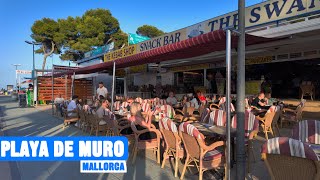 Playa de Muro Mallorca 🇪🇸 Evening🌛 [upl. by Vassili381]