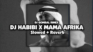 DJ HABIBI X MAMA AFRIKA Slowed  Reverb 🎧 [upl. by Nossila141]