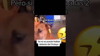 Cuando ya ni el perro te la cree 🤣😂 jaja [upl. by Saisoj]