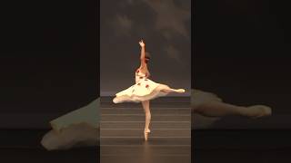 WATCH TILL THE END FOR AN AMAZING TURN🩰✨🌹 pointe ballet balletdancer dance dancer ballerina [upl. by Deeyn]