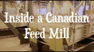 Inside a Canadian Feed Mill [upl. by Ninazan319]