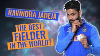 Ravindra Jadeja The best fielder in the world [upl. by Nnairac]