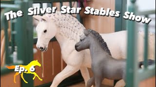 The Silver Star Stables Show  Episode 6 Schleich Horse RolePlay Series [upl. by Adian]