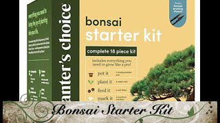 Planters Choice Bonsai Tree kit  Planting  Art of Bonsai  How To [upl. by Araem]