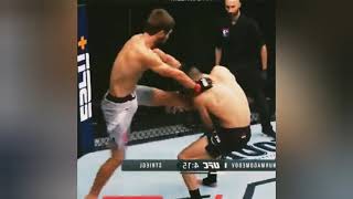 End a fight in seconds said nurmagomedov vs mark striegl mma ufc mma trendingvideo [upl. by Trumaine181]