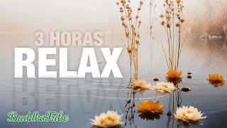 Tranquilidade Espiritual 🌟 Música para Cura dos Chakras  3 Horas Vibrações Positivas [upl. by Gabrielson132]