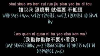 SHE  Chao Ke Neng w lyrics amp translation [upl. by Senilec]