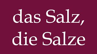 How to Pronounce das Salz die Salze the Salt Salts Correctly in German [upl. by Box594]