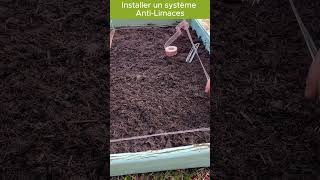 Installer un système anti limaces naturel jardinage potager garden jardin gardening bio [upl. by Mihar]