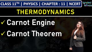 Class 11th Physics  Carnot Engine  Carnot Theorem  Chapter 11 Thermodynamics  NCERT [upl. by Sybila]