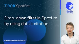 How to create a dropdown filter in Tibco Spotfire [upl. by Ardnu]