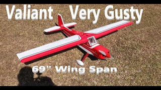 Valiant 69 Inch Very Windy No Gyro Fun In The Sun Eastgate Park Dothan AL [upl. by Jaal422]