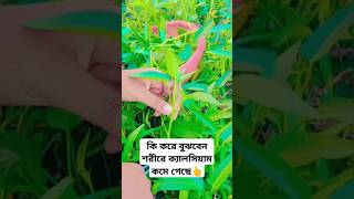 কি করে বুঝবেন শরীরে ক্যালসিয়াম কমে গেছে health calcium shortfeed naturelovers [upl. by Cranston]