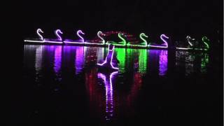 Night Swan Boats [upl. by Nereen]