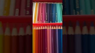 UNBOXING Faber Castell 60 Buntstifte colour pencilsunboxing shorts fabercastell art [upl. by Vergil496]