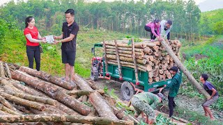 Buy Wood From Villagers On High Hills and Use Trucks To Transport and Sell To Traders  Daily Farm [upl. by Dan]