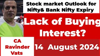 Stock Market Outlook for Tomorrow 14 August 2024 by CA Ravinder Vats [upl. by Dennard]