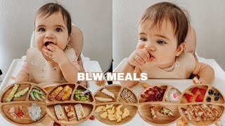 Easy Baby Led Weaning Meals  My Babys Favorite Foods For Breakfast Lunch amp Dinner [upl. by Lenna756]