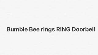 Bumblebee Rings my RING Video Doorbell [upl. by Deck]