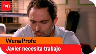 Javier necesita encontrar trabajo  Wena Profe  T1E72 [upl. by Rubetta]