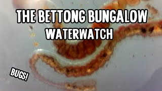 The Bettong Bungalow Water Quality with Waterwatch [upl. by Nnylarak]