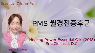 PMS 월경전증후군 [upl. by Chrysa622]