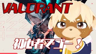 【雑談】ぢろとヴァロアンレート！【VALORANT】3 [upl. by Dougall]