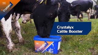 Crystalyx Cattle Booster Improve forage intake amp feed conversion efficiency for optimal performance [upl. by Prinz]