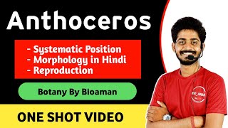 Anthoceros in hindi  Classification  Habitat and Morphology in Hindi Anthoceros full details [upl. by Dex457]