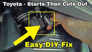 Starts Then Cuts Out Immediately  No Tools Required DIY Solution [upl. by Eednac]