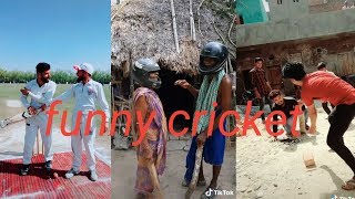 Cricket best funny Tik Tok video3 [upl. by Aihseyt735]