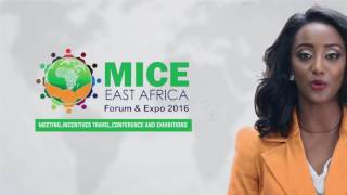 MICE East Africa 216 Forum and Expo amp 4th Hotel Show Africa 2016 Hospitality Investment TradeShow [upl. by Gale890]