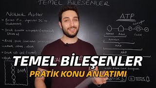 CANLILARIN TEMEL BİLEŞENLERİ  ÖZET KONU ANLATIMI  yks2022 [upl. by Snow969]