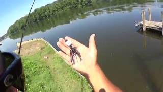 How to Fish a Chatterbait For Beginners [upl. by Inafit]