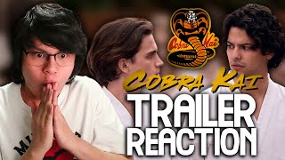 Cobra Kai Season 6 Trailer Reaction  Date Announcement [upl. by Kosaka]