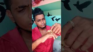 Red Iguana 2 month baby 2024 Augustmotivation iguana iguanafinalbuhari0490 tamilreels trend [upl. by Eniamsaj]