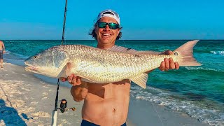 How to Surf Fish for Sharks and Redfish in Destin Florida [upl. by December]