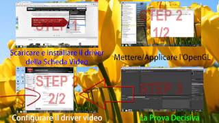 MettereApplicare LOpenGL al Driver della Scheda Video [upl. by Hawkins]