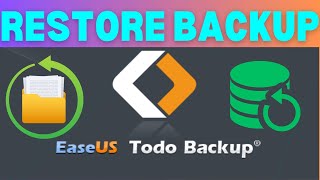 How to restore easeus todo backup  Easeus todo backup image  Restoring a File From EaseUS Todo [upl. by Furmark]