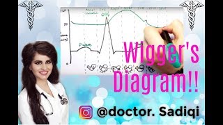 Wiggers Diagram EXPLAINED WITHIN 3 MINUTES [upl. by Aninotna]