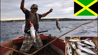 Jamaica Negril Tuna fishing with local fisherman  things to do [upl. by Retsub]