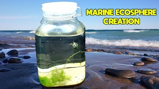 Creating a SALTWATER Ecosphere │ Marine Ecosystem in a JAR [upl. by Stultz]