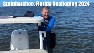 Steinhatchee Florida Scalloping 2024 [upl. by Alleb459]