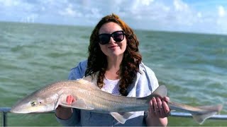 North Sea Angling Catching Tope smoothounds and rays off Mersea Island [upl. by Malva]