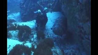 Scuba Diving  Fernando De Noronha  Brazil [upl. by Feldt]