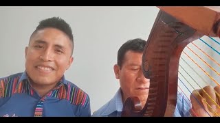 HUAYNO SENTIMENTAL ARPA amp VIOLIN  QANTUCHA DE PARINACOCHAS ANDRES ATOCCSA [upl. by Eislrahc]