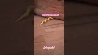 TROFIE PASTA SHAPE viralvideos shortvideo handmade pastashape [upl. by Anaeda378]