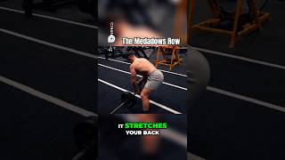 Try this unique MidBack exercise The Meadows Row Exercisebodybuilding motivation fitness [upl. by Coward219]