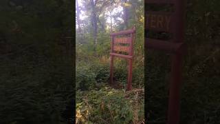 Abandoned cemetery in Evansville Indiana evansville cemetery graveyard indiana graveyard [upl. by Notslar]