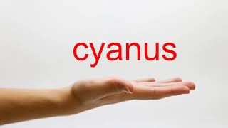 How to Pronounce cyanus  American English [upl. by Amoeji]